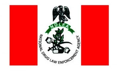 NDLEA Logo