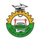 Nigerian Society of Engineers Logo