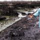 Niger Delta