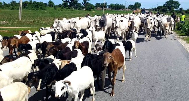 Livestock