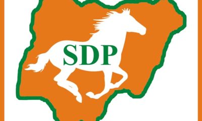 SDP